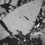 coalimage1