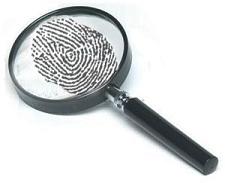 magnifier