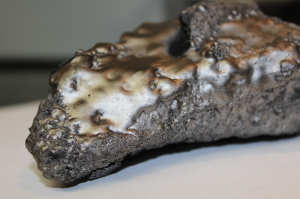 Pyrolitic-Carbon-300x199