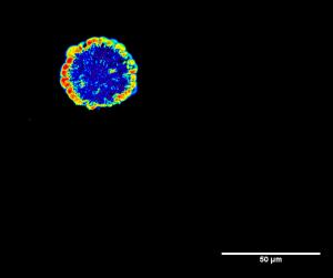 carbon-fiber-bireflectance