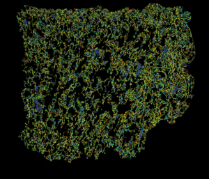 Image 6. Oriented Coke Fabric (Single MVol Source)